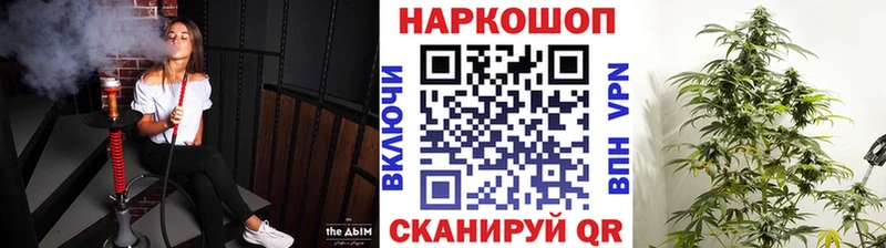 Как найти закладки Североморск Канабис  Кодеин  Гашиш  A-PVP  МЕФ  КОКАИН  Псилоцибиновые грибы 