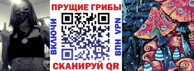 Галлюциногенные грибы Psilocybine cubensis  Североморск 