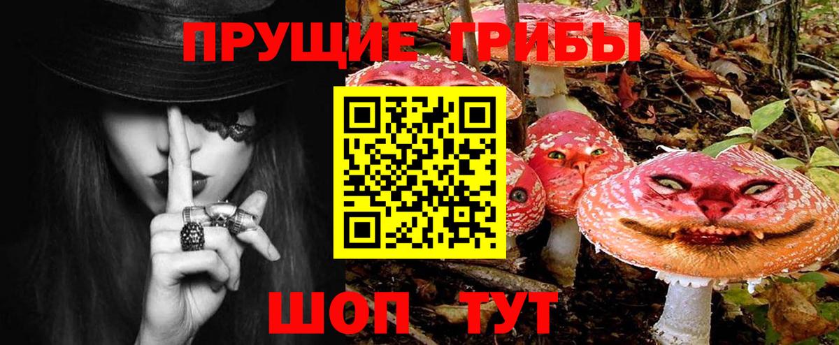 Псилоцибиновые грибы Cubensis  Вход с VPN  Псилоцибиновые грибы MAGIC MUSHROOMS  Североморск 